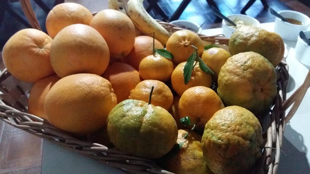Pousada Três Coroas Exteriér fotografie